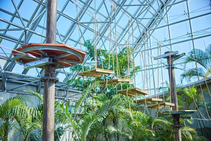 有料アクティビティのわくわくドキドキな空中アスレチック／若狭たかはまエルどらんど（福井県高浜町）