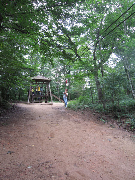 空中散歩／広島県立もみのき森林公園 わんぱくの森アスレチックコース（廿日市市）