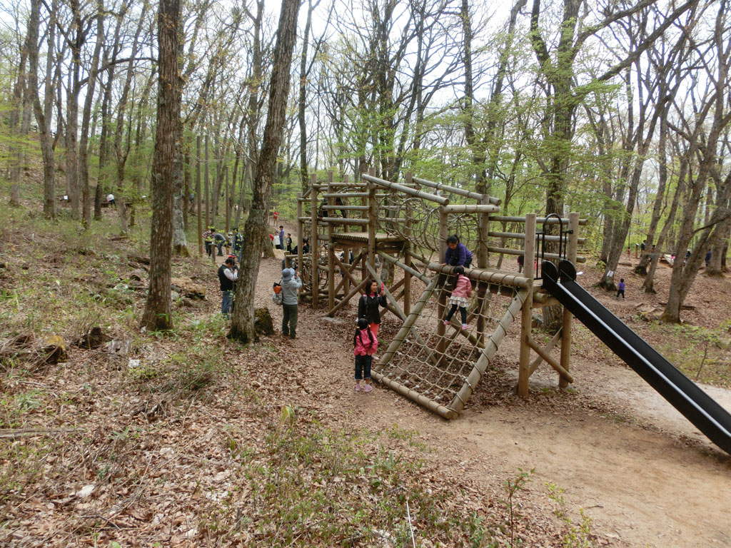 ジャングル探検／広島県立もみのき森林公園 わんぱくの森アスレチックコース（廿日市市）