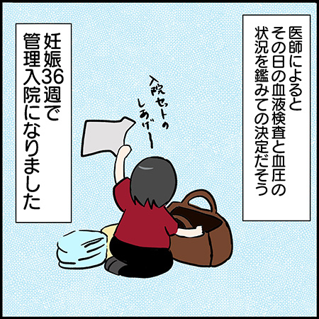 私が双子を妊娠するなんて!27-3