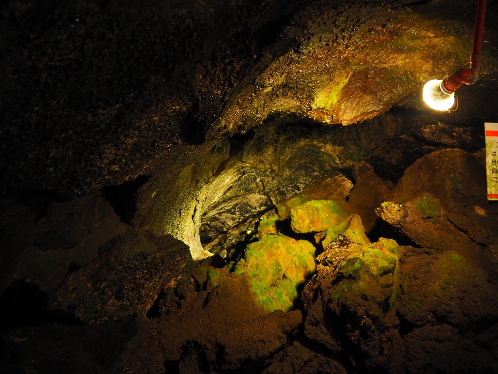 珪酸華（けいさんか）という苔の一種/洞窟「富岳風穴」（山梨県/富士河口湖町）
