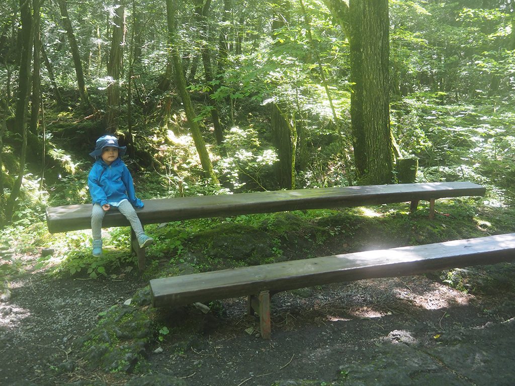 入口手前のベンチ/洞窟「富岳風穴」（山梨県/富士河口湖町）