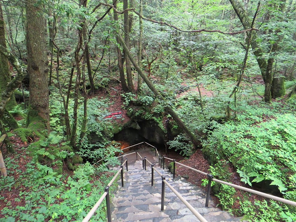 洞窟へ向かう階段/洞窟「富岳風穴」（山梨県/富士河口湖町）