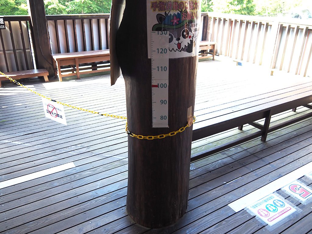 身長制限の柱/鳴沢氷穴（山梨県/鳴沢村）