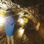 見どころ満載「鳴沢氷穴」をガイドと探検！洞窟のでき方・服装・所要時間もチェック