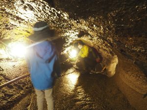 見どころ満載「鳴沢氷穴」をガイドと探検！洞窟のでき方・服装・所要時間もチェック