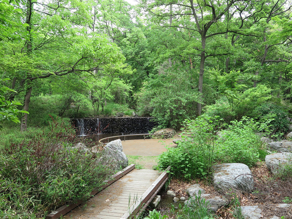 どんぐりの森の春／山梨県森林公園金川の森（笛吹市一宮町）