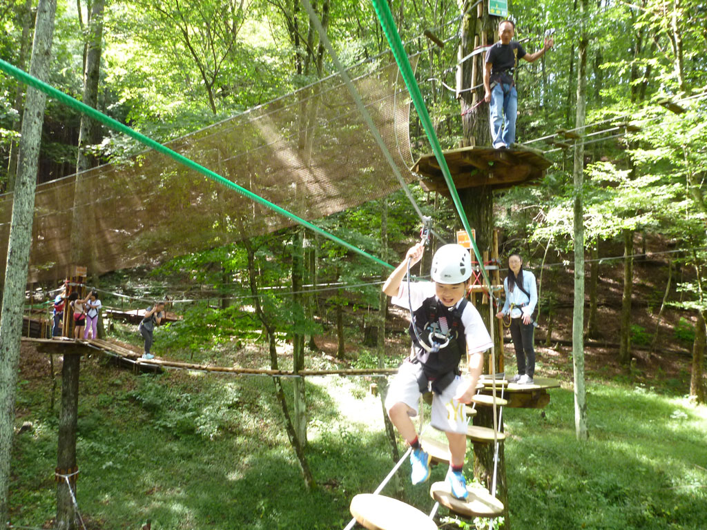 樹上を思いっきり楽しめるアクティビティ(CPコース)／フォレストアドベンチャー・こすげ（小菅村）