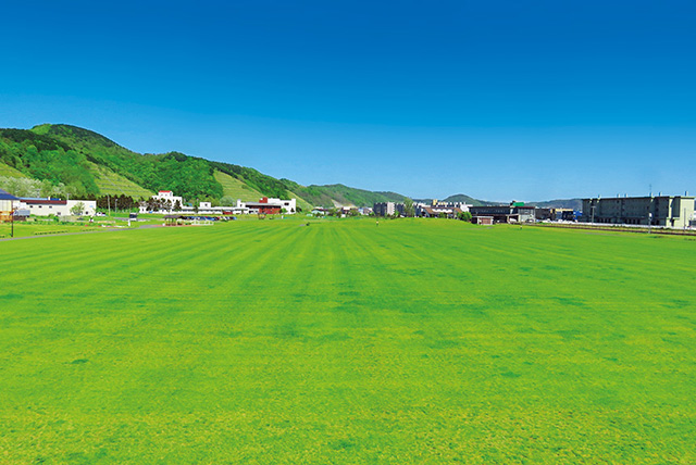 芝生広場/道の駅　るもい（北海道/留萌市）