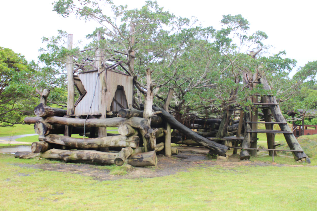 自然木と一体化した丸太のジャングルジム/ビオスの丘(うるま市石川嘉手刈)