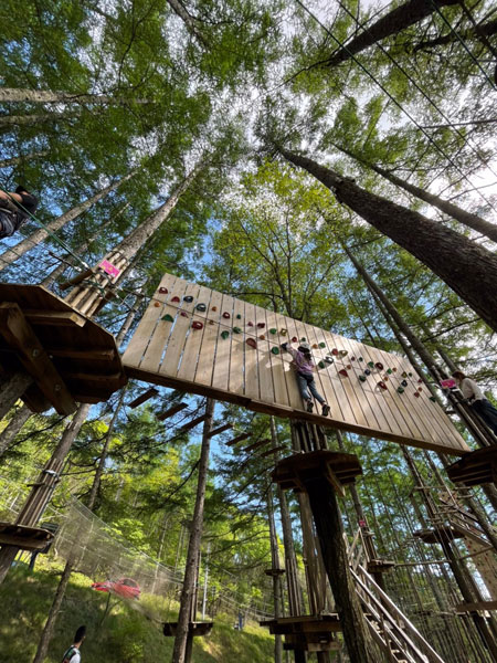 キャノピーコース/フォレストアドベンチャー・蓼科(茅野市)