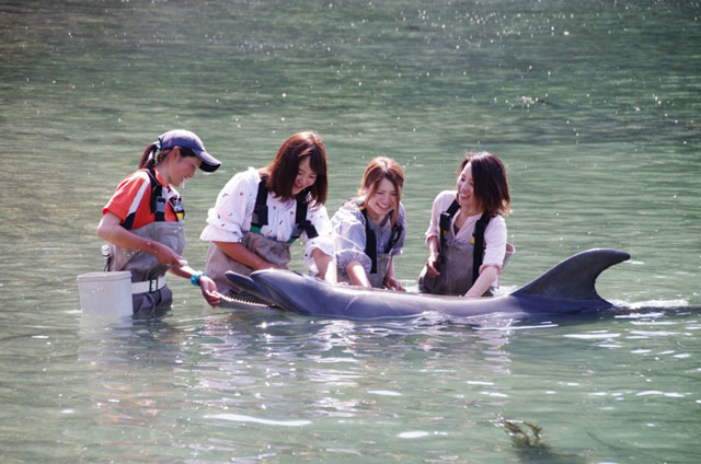 「ビーチでふれあい」の様子/太地町立 くじらの博物館（和歌山県／太地町）