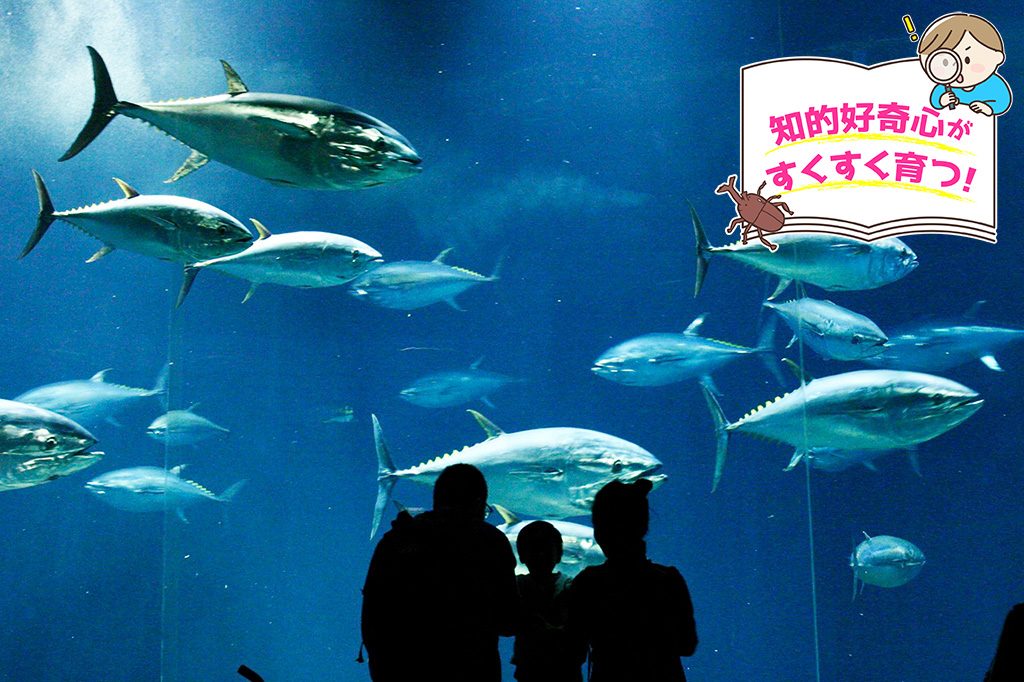 東京都葛西臨海水族園（江戸川区）