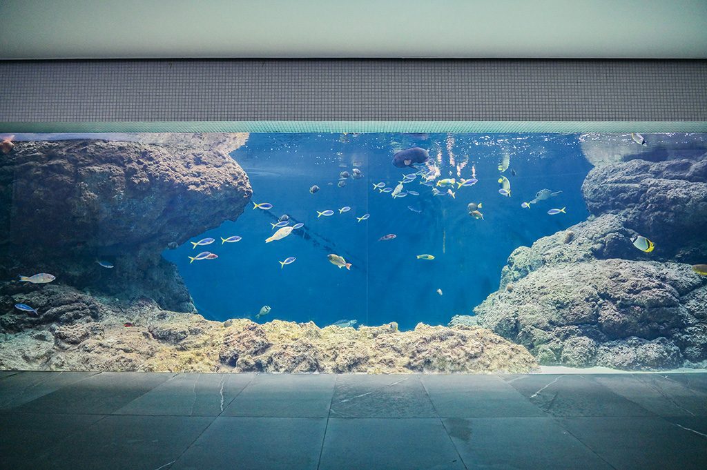 「東京の海」の水槽/東京都葛西臨海水族園（江戸川区）