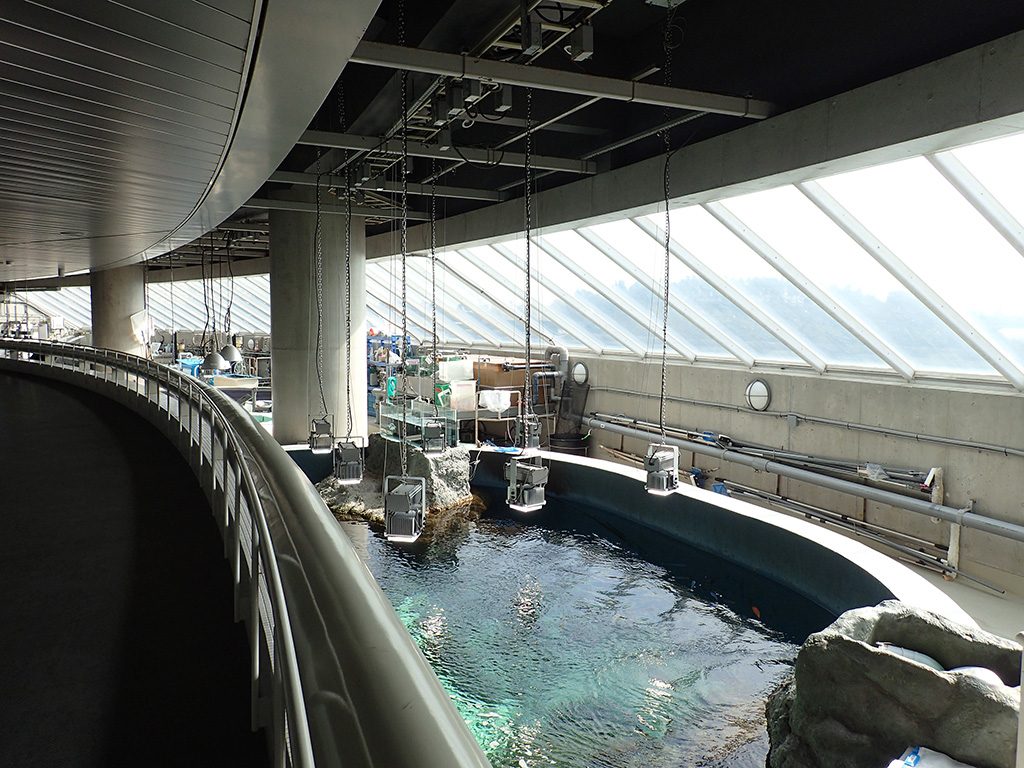 2階のキャットウォーク/東京都葛西臨海水族園（江戸川区）