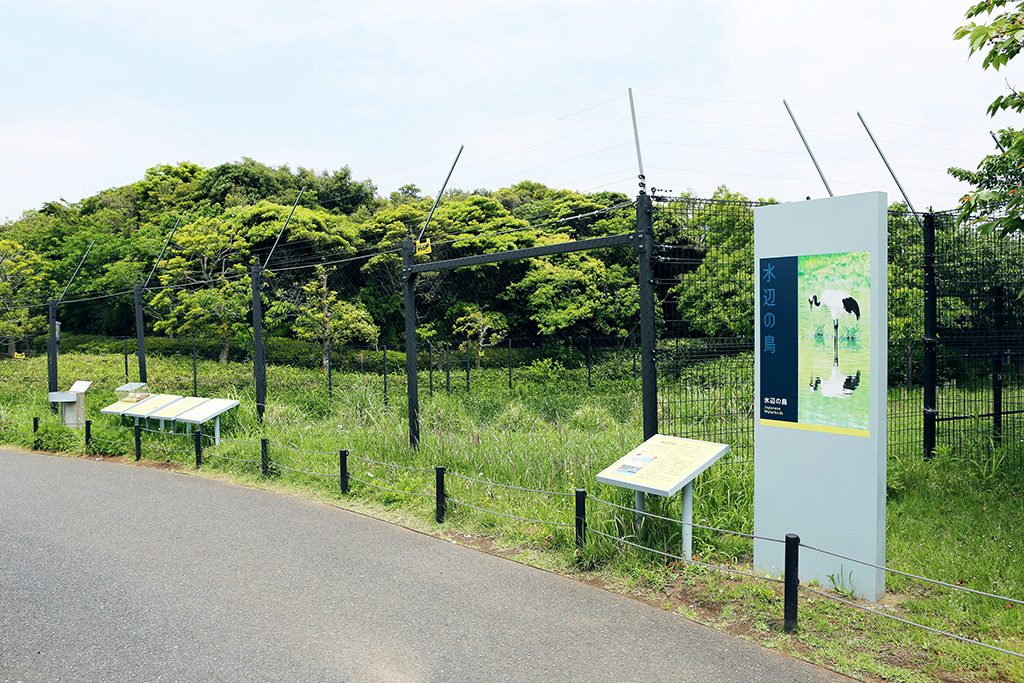 開放的な「水辺の自然」/東京都葛西臨海水族園（江戸川区）