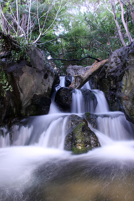 淡水生物館（屋内）から見られる清流/東京都葛西臨海水族園（江戸川区）