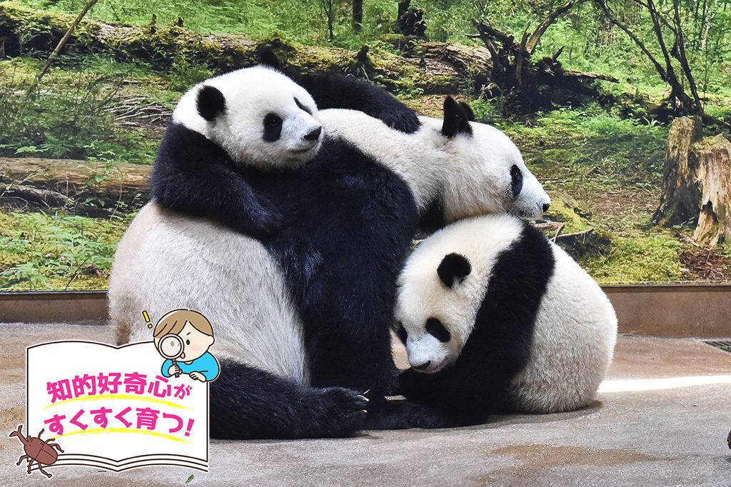 東京都恩賜上野動物園（台東区）