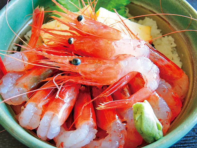 苫前産甘えび丼/道の駅風Wとままえ（北海道/苫前町）