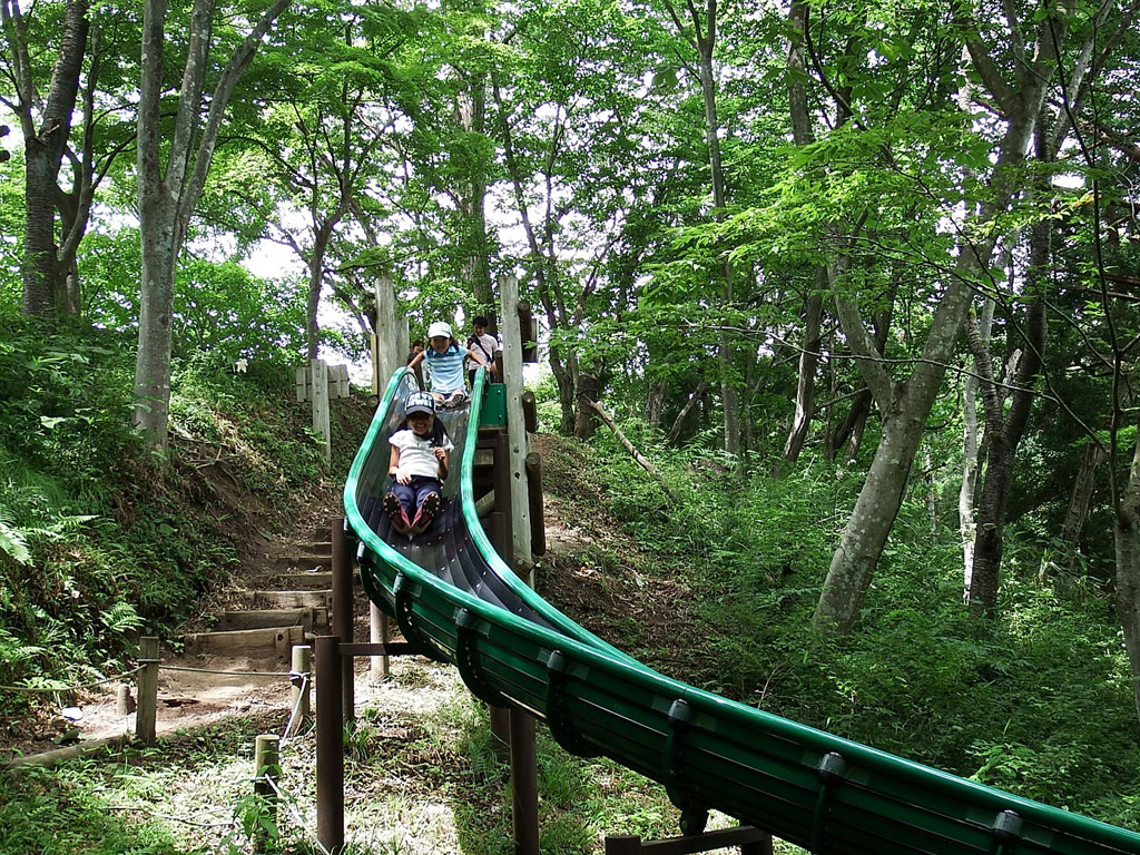 大人気のウイニングシューター/宮城県県民の森(利府町)