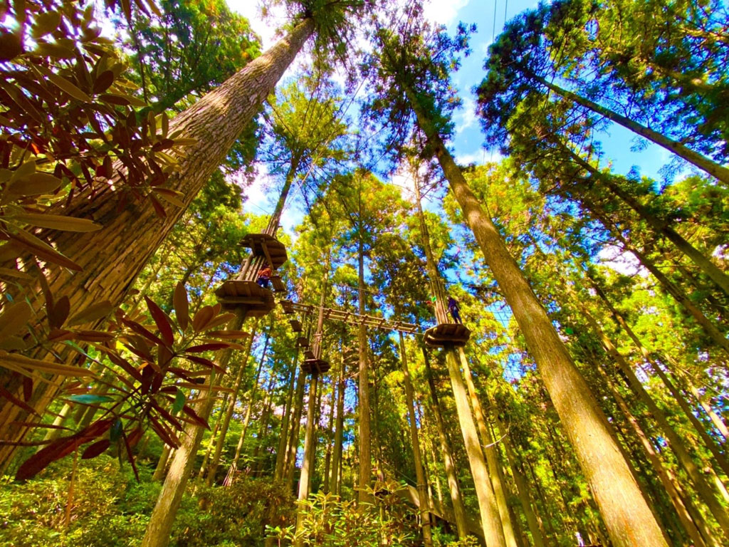 家族で楽しめるキャノピーコース/フォレストアドベンチャー・糸島(糸島市)