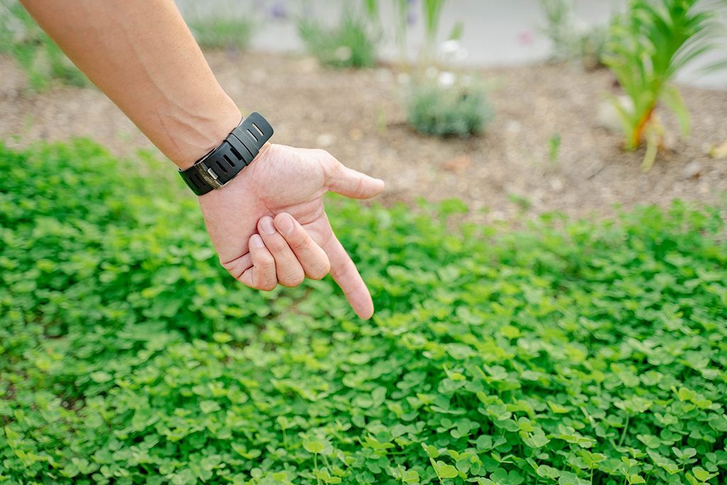 堺原池BBQ matoi（大阪府/堺市）