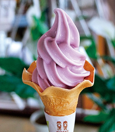 道の駅 つど～る・プラザ・さわらの「ブルーベリーソフトクリーム」（北海道）