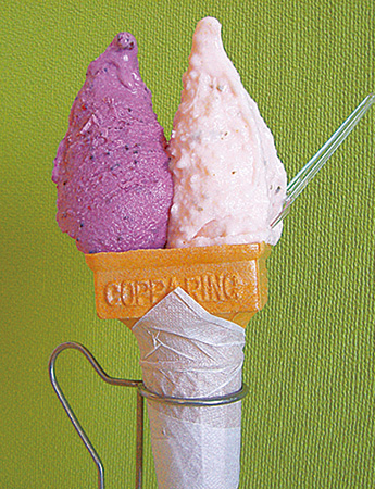 道の駅 摩周温泉の「すずきファームのジェラートアイス」（北海道）