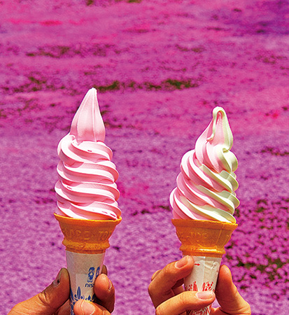 道の駅 香りの里たきのうえの「芝ざくらソフトクリーム」（北海道）
