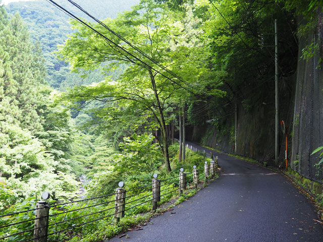 狭い道が続くので運転に注意/日原鍾乳洞(東京都奥多摩町)