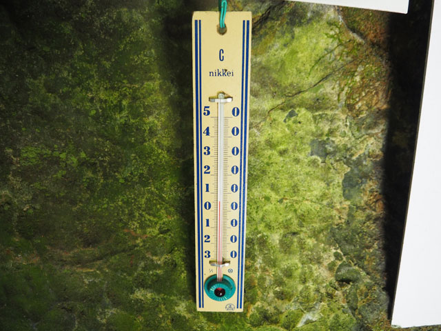 洞内の気温は年間を通して11℃前後/日原鍾乳洞(東京都奥多摩町)