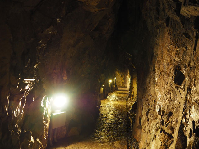 所要約40分の洞内/日原鍾乳洞(東京都奥多摩町)