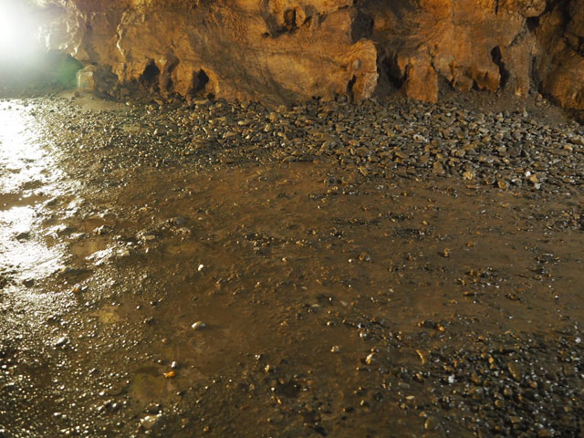 中は水が溜まっている場所がある/日原鍾乳洞(東京都奥多摩町)