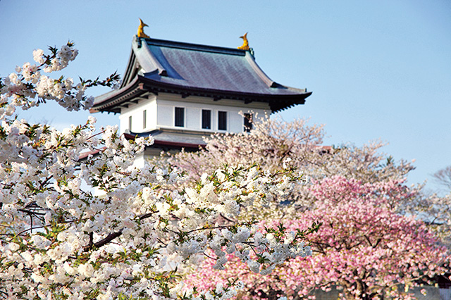 松前町松城/道の駅北前船　松前（北海道/松前町）