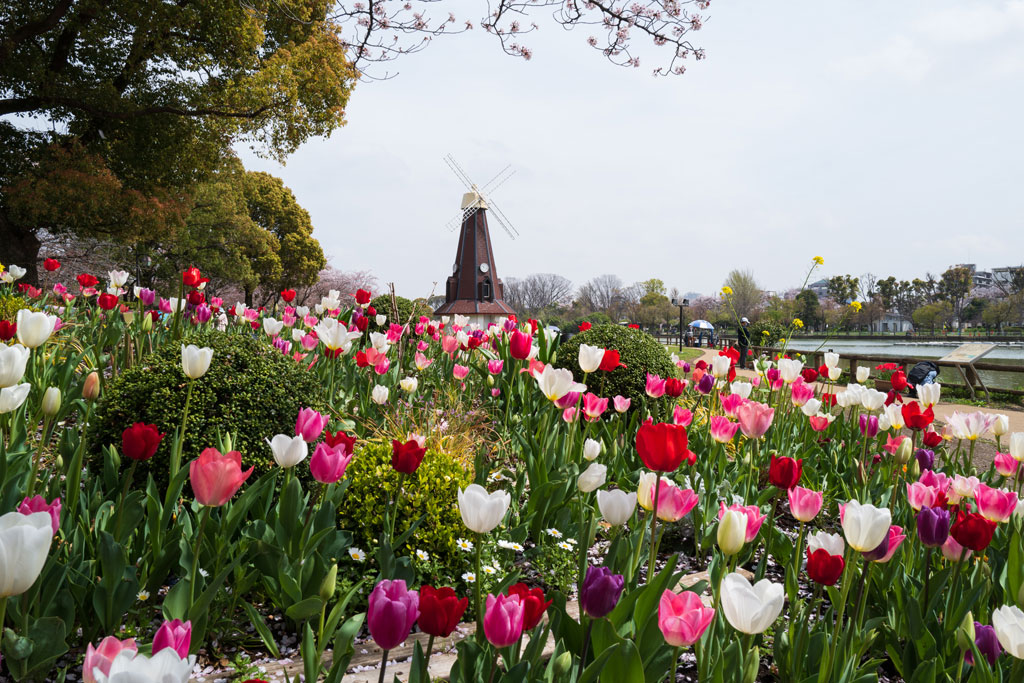 「風車」/浮間公園(東京都/板橋区)