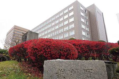 お仕事図鑑:弁護士 1日に密着