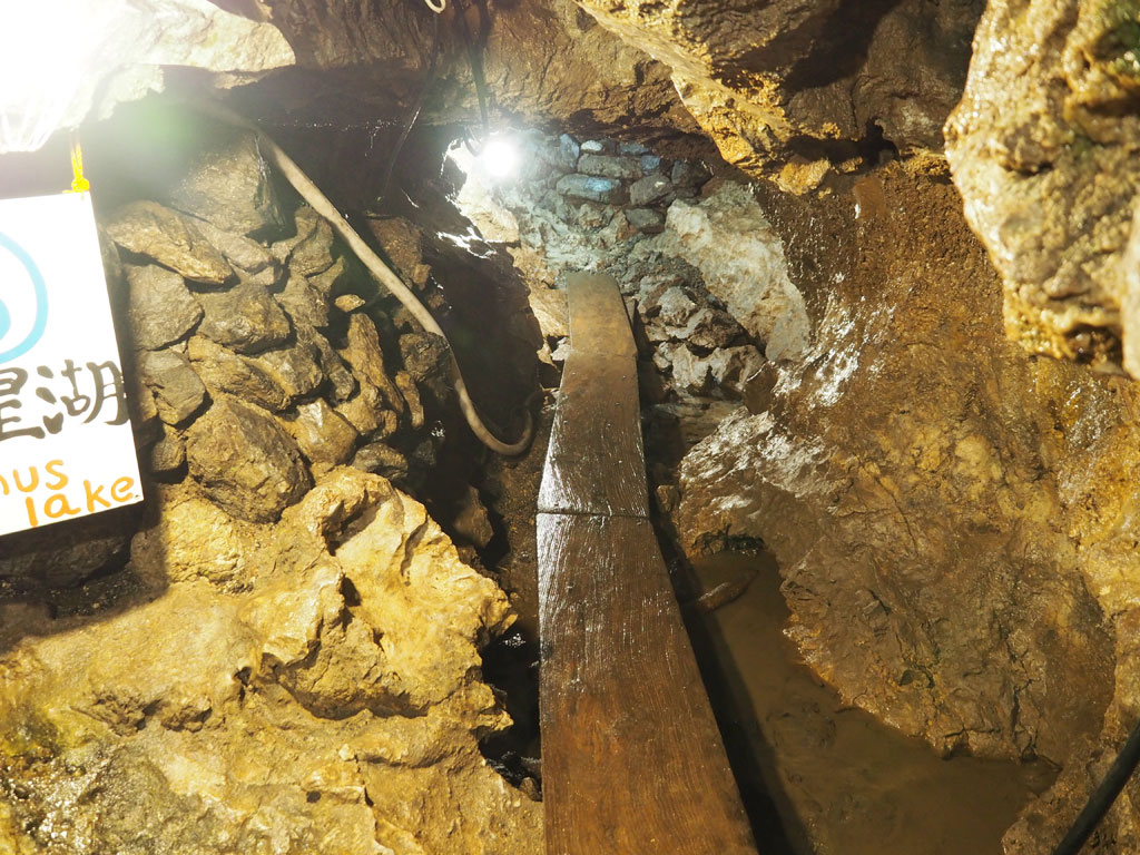 一本橋のような難所もたくさんある/大岳鍾乳洞（東京都／あきる野市）