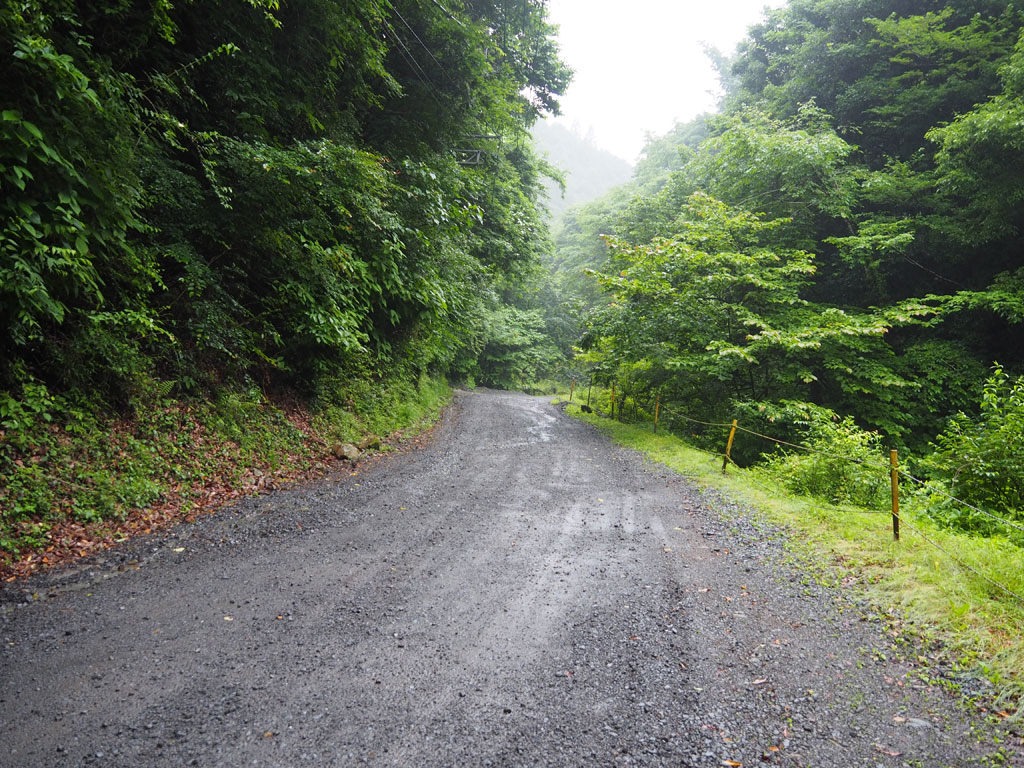 途中から未舗装道路となるので注意/大岳鍾乳洞（東京都／あきる野市）