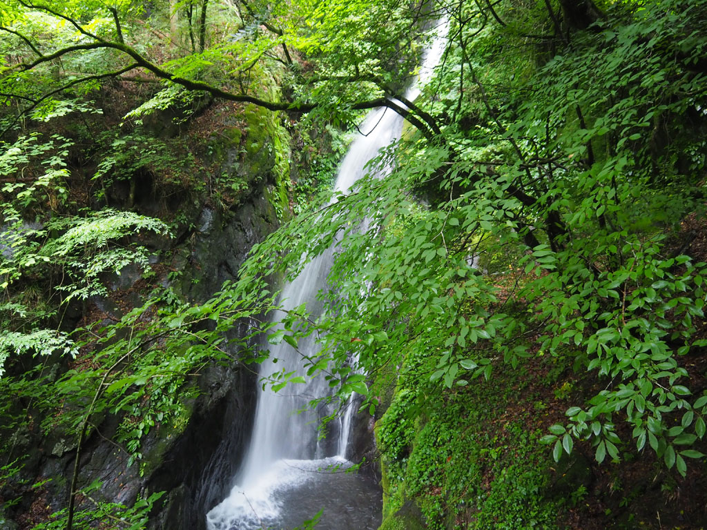 鍾乳洞から30分ほど歩くと流れ落ちている大滝/大岳鍾乳洞（東京都／あきる野市）