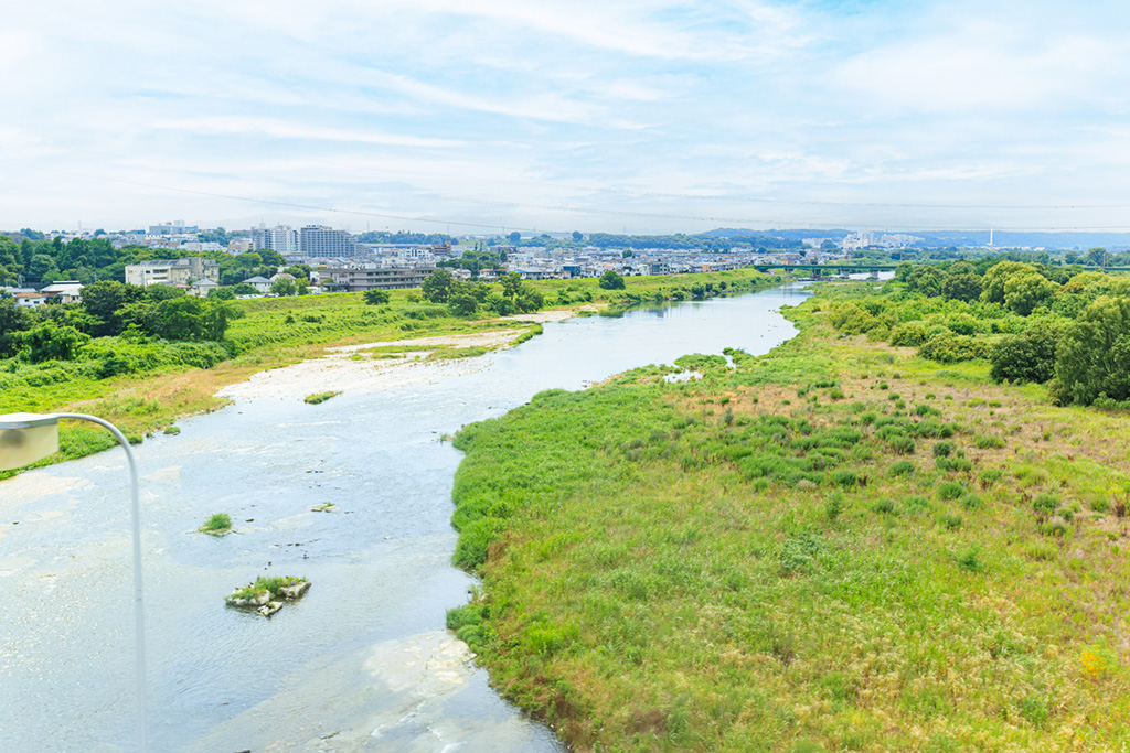 多摩川