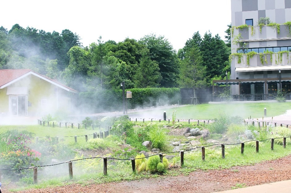 夏限定イベント「ムーミン谷の雲海」/ムーミンバレーパーク（埼玉県/飯能市）