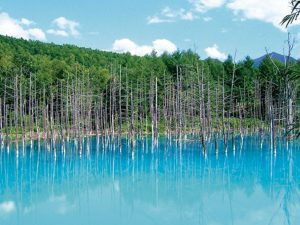 ご当地自慢の海鮮グルメや絶景に大満足！北海道の道の駅おすすめ8選