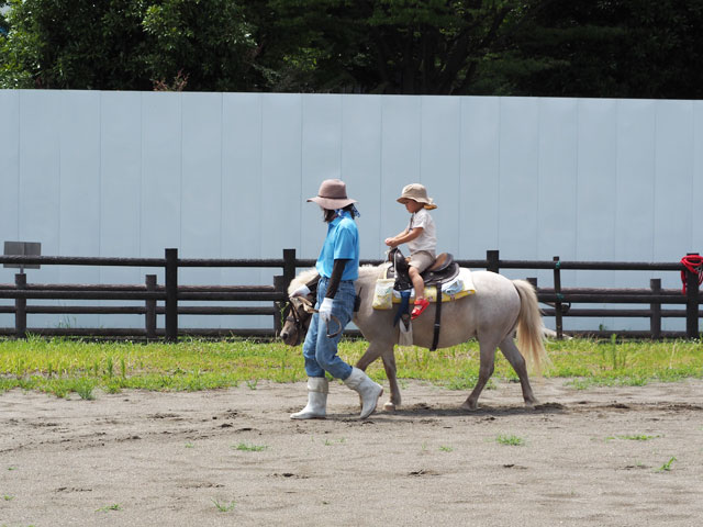 「なぎさ公園」には、ポニーランドがある/総合レクリエーション公園(東京都/江戸川区)