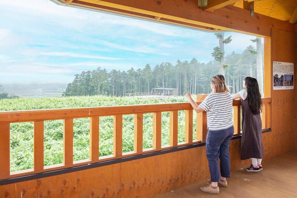 （福島県/富岡町）