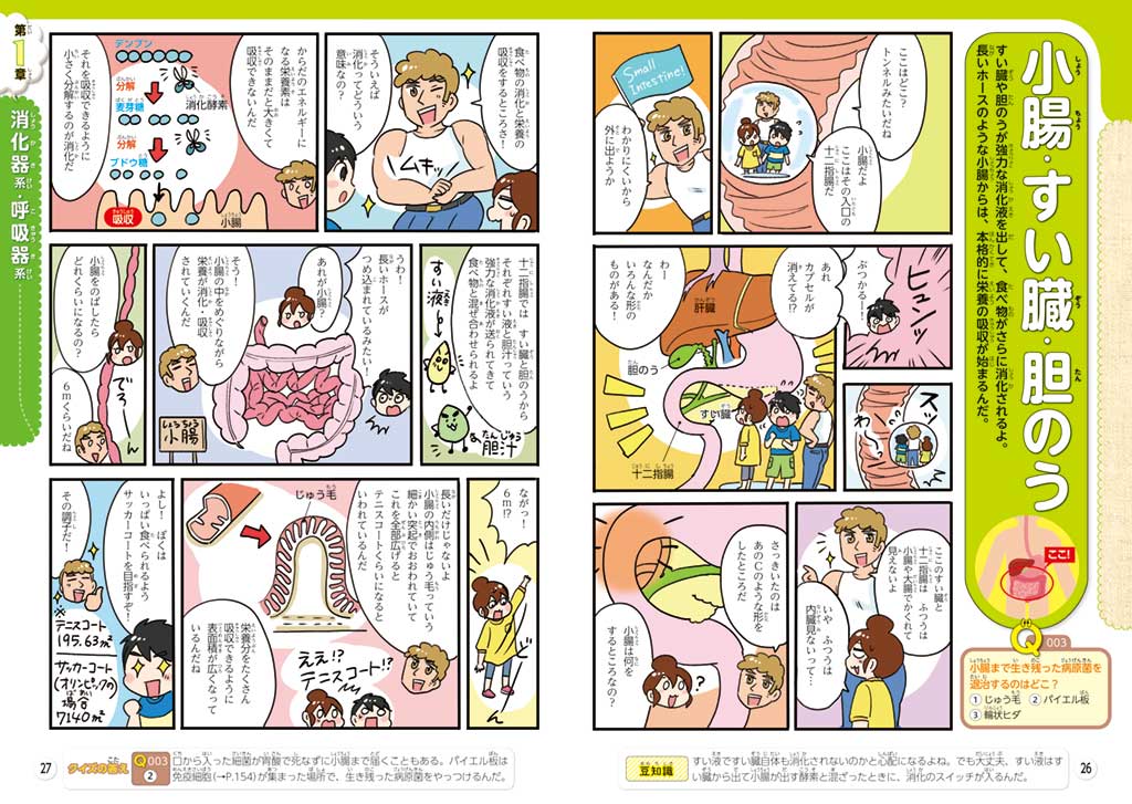 『るるぶマンガとクイズで楽しく学ぶ！人間のからだ』