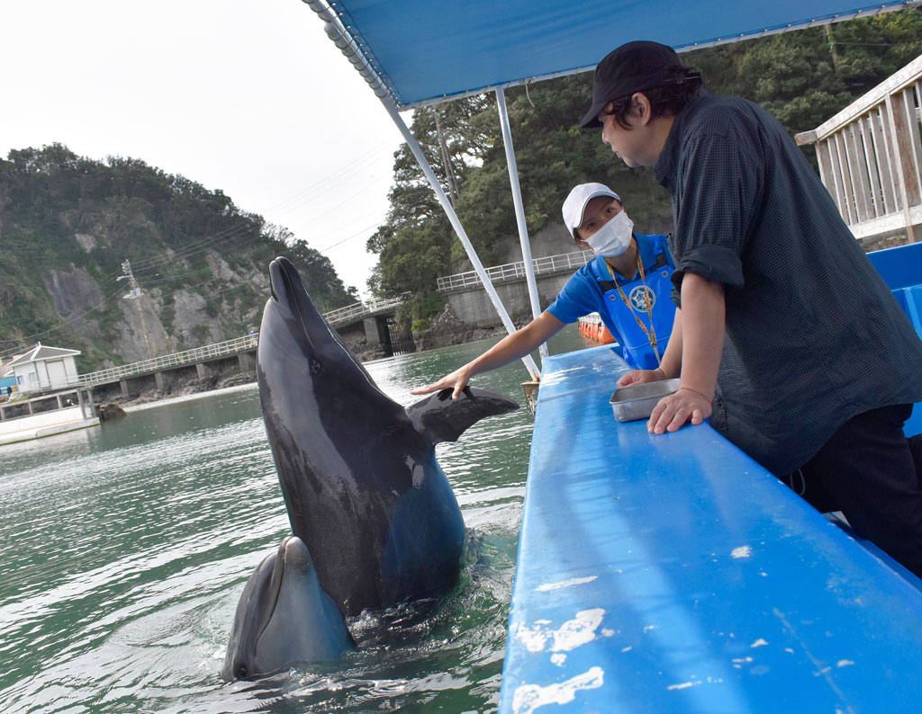 『ココに耳があります』と、耳の場所を手で示して教えてくれる様子