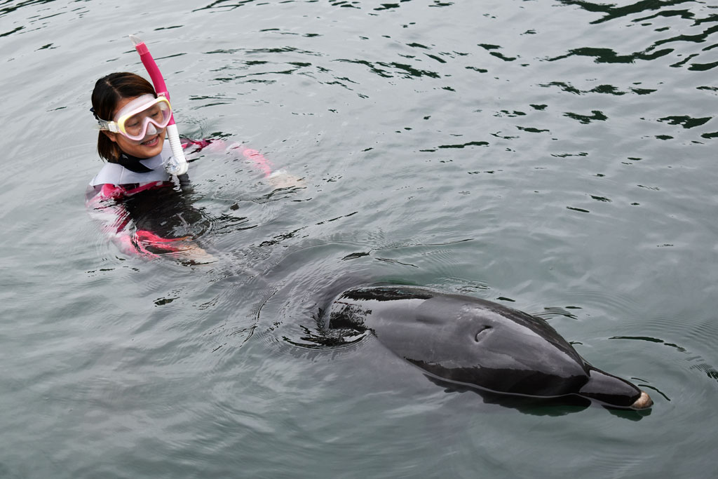 『頭の上についている鼻孔から音を出しているんですよ』と教えてくれる様子