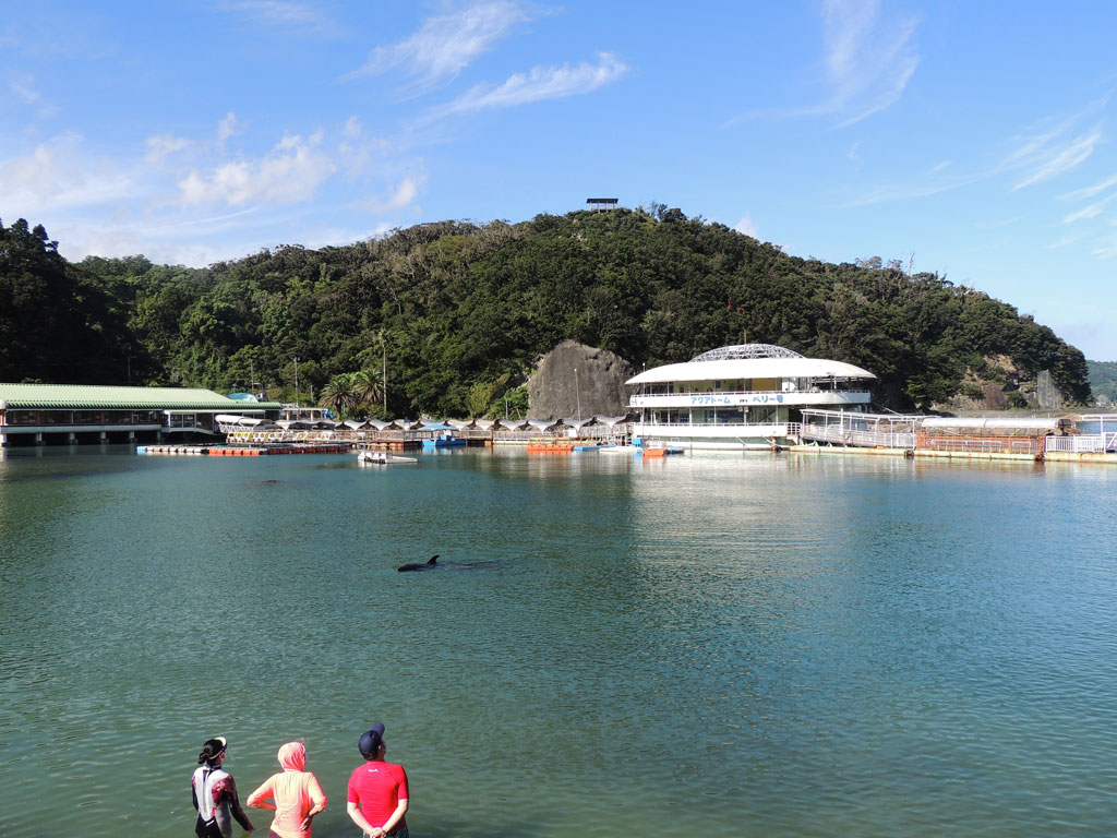 水族館のエリア内のドルフィンビーチの開放的な風景/下田海中水族館（静岡県／下田市）