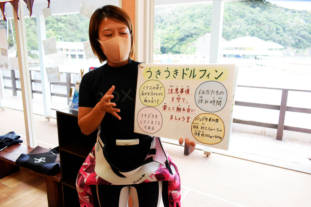 「うきうきドルフィン」についての説明と注意事項をレクチャー/下田海中水族館（静岡県／下田市）