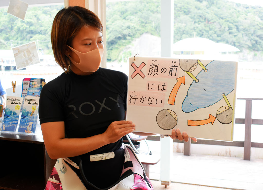 バンドウイルカとのふれあう場合の注意点/下田海中水族館（静岡県／下田市）